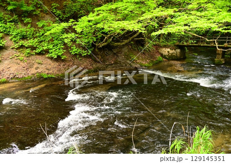 新緑の花巻温泉郷 新緑の花巻温泉郷 129145351