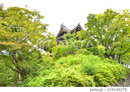 善峯寺の青紅葉 129146278