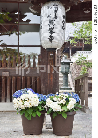 善峯寺の山門の提灯 129146283