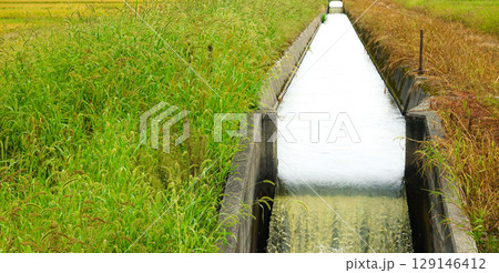 農業用水路のある風景 129146412
