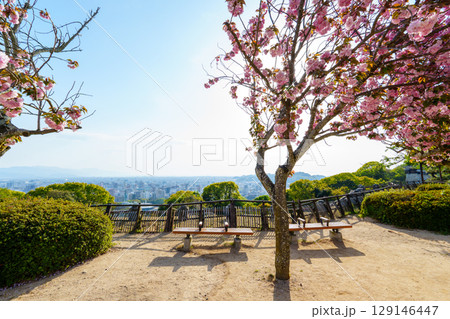 250411松山城 129146447