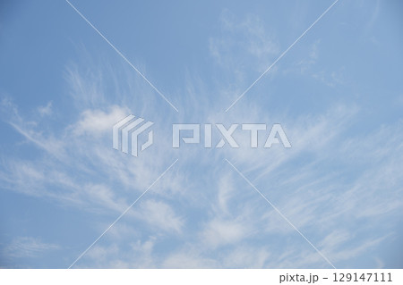 夏の空 青空 晴れ 夏 8月 イメージ 【神奈川県】 129147111