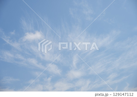 夏の空 青空 晴れ 夏 8月 イメージ 【神奈川県】 129147112