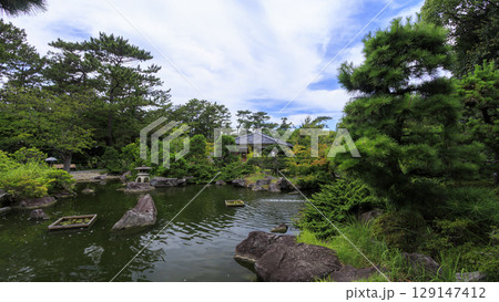 葉山しおさい公園の夏 葉山しおさい公園の夏 129147412