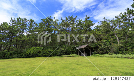 葉山しおさい公園の夏 129147427
