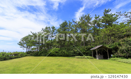 葉山しおさい公園の夏 129147430