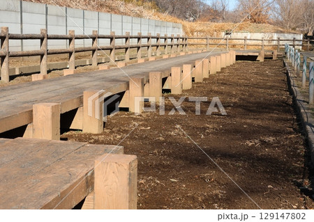 早春の菖蒲田の風景 129147802