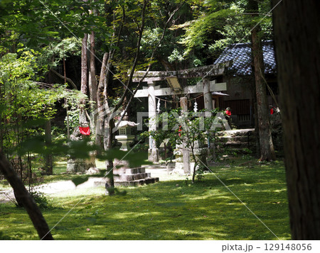五台山の日吉神社(竹林寺の境内摂社) 五台山の日吉神社(竹林寺の境内摂社) 129148056