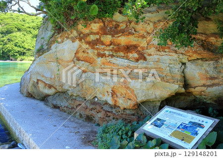【島根県】快晴の島津島の生痕化石（隠岐の島　知夫里島） 129148201