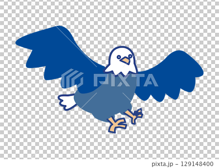 一隻鷹在飛行時的姿態的插圖，從正面以一定角度觀察 129148400