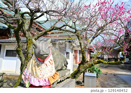 北野天満宮の梅2024年3月 129148452