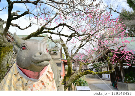 北野天満宮の梅2024年3月 129148453