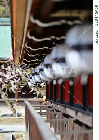 北野天満宮の梅2024年3月 129148459