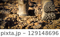Legs in hiking boots closeup, a girl walks on a rocky desert terrain. 129148696