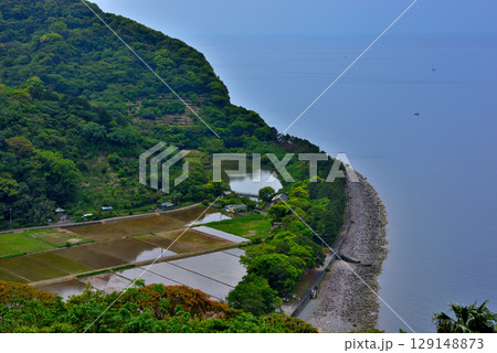 中部地方・伊豆半島・井田の明神池・井田の集落の田舎風景と不思議な淡水湖・静岡県沼津市井田(2) 129148873