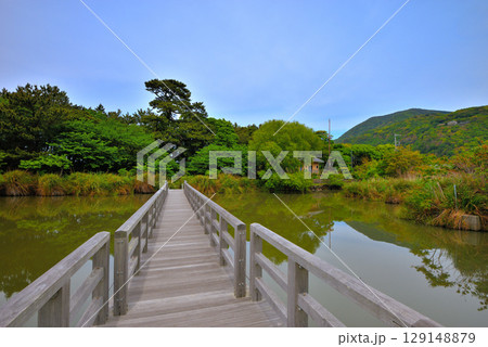 中部地方・伊豆半島・井田の明神池・周囲に整備された遊歩道と、楽しそうな橋・静岡県沼津市井田(3) 129148879