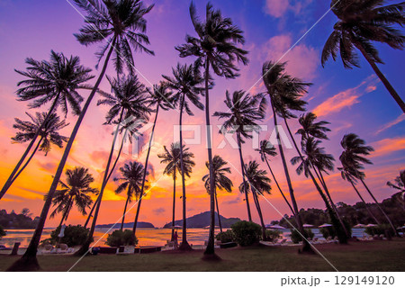 Silhouette coconut palm trees on beach at sunset. Vintage tone. Silhouette coconut palm trees on beach at sunset. Vintage tone. 129149120