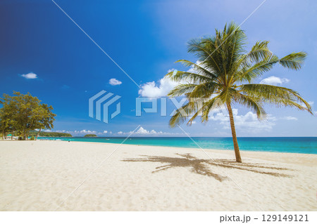 Tropical paradise beach with white sand and coco palms travel tourism wide angle background concept. 129149121