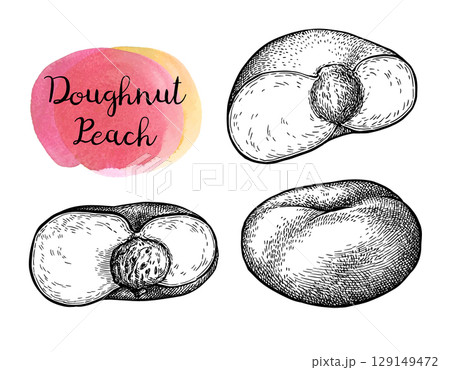 Donut peach ink sketch set 129149472