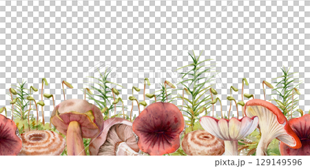 Bolete Russula mushroom, horsetail plant stalks moss cushion hand drawn in watercolor. Cep webcap suillus fungi, autumn forest harvest, edible raw ingredient for vegan cooking. Seamless banner header 129149596