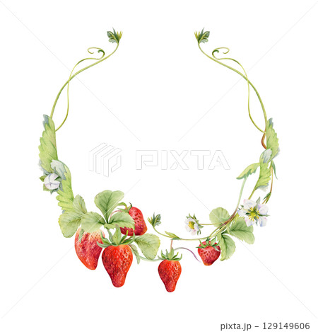 Strawberry on stems with vines tendrils flowers wreath, ripe garden berry pineberry strasberry. Isolated hand drawn watercolor vignette crown frame. Farmers market, eco gardening, food packaging cards Strawberry on stems with vines tendrils flowers wreath, ripe garden berry pineberry strasberry. Isolated hand drawn watercolor vignette crown frame. Farmers market, eco gardening, food packaging cards 129149606