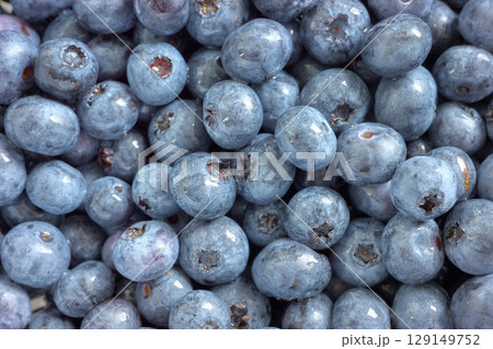 Close up photo of fresh blueberries, selective focus. 129149752