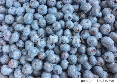 Close up photo of fresh blueberries, selective focus. Close up photo of fresh blueberries, selective focus. 129149756