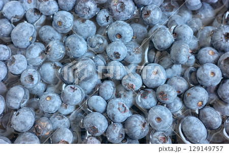 Close up photo of fresh blueberries, selective focus. 129149757