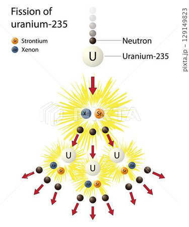 illustration of physics and chemistry, nuclear chain reaction, fission of uranium 235 reaction, When uranium 235 is reacted by irradiation with neutrons, uranium atoms split, releasing more neutrons 129149823