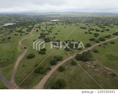 南アフリカのクワント動物保護区の大地の空撮 129150341