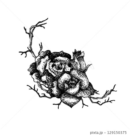 Floral frame with roses and dry branches in graphics. Hand drawn ink vector illustration with flower, twigs in Gothic concept, Punk or Rockabilly style. For textile, decoration, element of heraldry Floral frame with roses and dry branches in graphics. Hand drawn ink vector illustration with flower, twigs in Gothic concept, Punk or Rockabilly style. For textile, decoration, element of heraldry 129150375