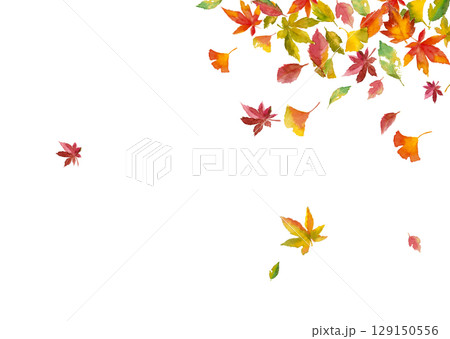 水彩で描いたで舞い落ちる落ち葉のフレーム素材【手描き】白バック 切り抜き素材 コピースペース 水彩で描いたで舞い落ちる落ち葉のフレーム素材【手描き】白バック 切り抜き素材 コピースペース 129150556