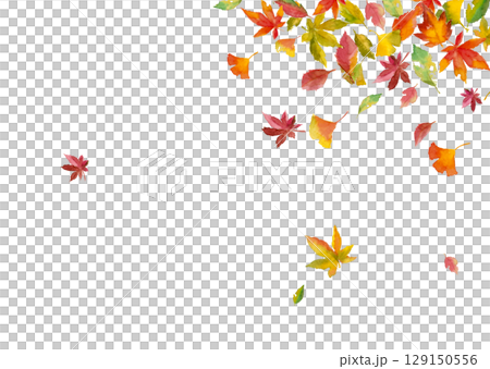 水彩で描いたで舞い落ちる落ち葉のフレーム素材【手描き】白バック 切り抜き素材 コピースペース 水彩で描いたで舞い落ちる落ち葉のフレーム素材【手描き】白バック 切り抜き素材 コピースペース 129150556