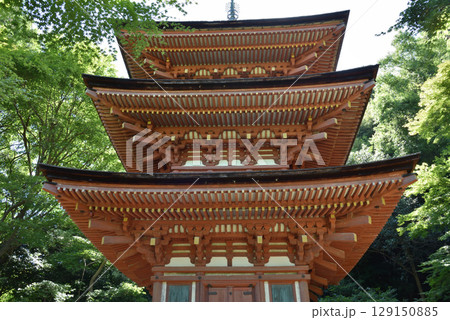 浄瑠璃寺 三重塔【国宝】 京都府木津川市 浄瑠璃寺 三重塔【国宝】 京都府木津川市 129150885
