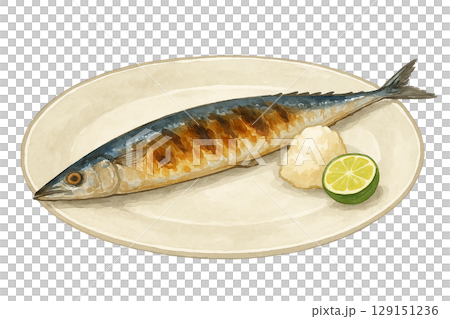 烤秋刀魚套餐水彩插圖 129151236