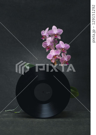 Still life with an orchid and a vinyl record Still life with an orchid and a vinyl record 129151292