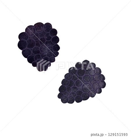 A watercolor illustration of a large, ripe blackberry on a white background. The detailed artwork showcases the deep purple-black color and textured surface of the berry, perfect for food, health, or 129151593
