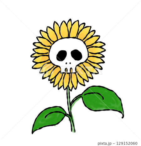 ドクロひまわり 水彩 ドクロひまわり 水彩 129152060