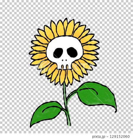 ドクロひまわり 水彩 ドクロひまわり 水彩 129152060