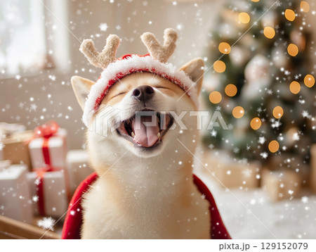 Shiba dog smiling joyfully in festive Christmas setting with snowflakes and reindeer antlers 129152079