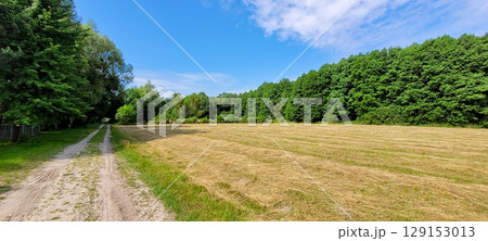 A Tranquil Country Pathway Meandering Through Lush Greenery and Expansive Fields of Growth A Tranquil Country Pathway Meandering Through Lush Greenery and Expansive Fields of Growth 129153013