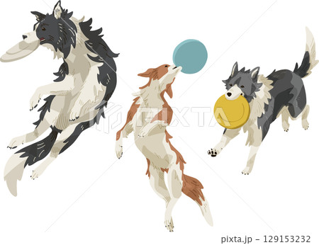 フリスビードッグ 129153232