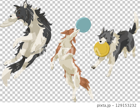 Frisbee dog Frisbee dog 129153232