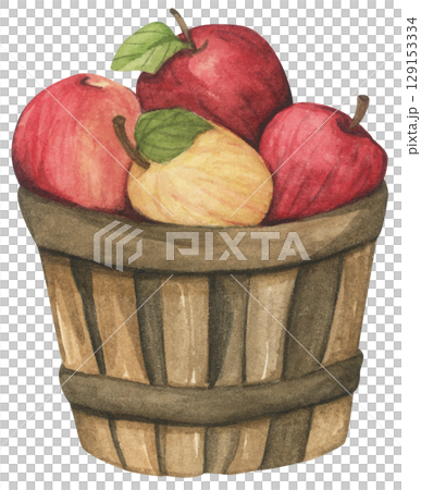 Fresh Apples in Vintage Wooden Bucket. Red Fruits, Wooden Barrel, Autumn Harvest Decor. Organic Farm and Garden. Watercolor Autumn Farmhouse Food Illustration for Thanksgiving. Fresh Apples in Vintage Wooden Bucket. Red Fruits, Wooden Barrel, Autumn Harvest Decor. Organic Farm and Garden. Watercolor Autumn Farmhouse Food Illustration for Thanksgiving. 129153334