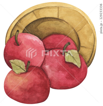 Fresh Apples in Vintage Wooden Bucket. Red Fruits, Wooden Barrel, Autumn Harvest Decor. Organic Farm and Garden. Watercolor Autumn Farmhouse Food Illustration for Thanksgiving. 129153336
