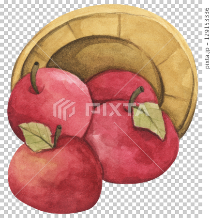 Fresh Apples in Vintage Wooden Bucket. Red Fruits, Wooden Barrel, Autumn Harvest Decor. Organic Farm and Garden. Watercolor Autumn Farmhouse Food Illustration for Thanksgiving. 129153336