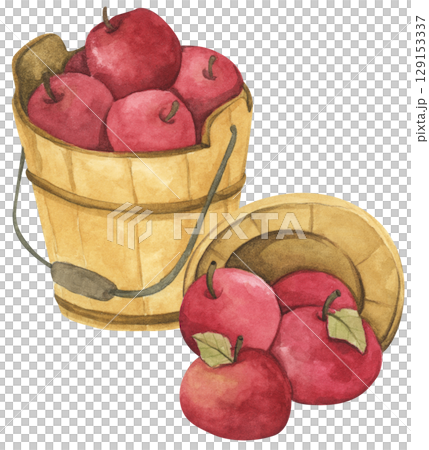 Fresh Apples in Vintage Wooden Bucket. Red Fruits, Wooden Barrel, Autumn Harvest Decor. Organic Farm and Garden. Watercolor Autumn Farmhouse Food Illustration for Thanksgiving. 129153337