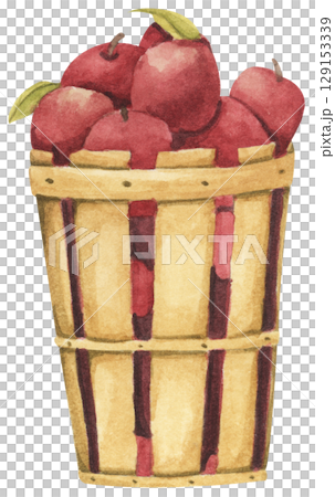 Fresh Apples in Vintage Wooden Bucket. Red Fruits, Wooden Barrel, Autumn Harvest Decor. Organic Farm and Garden. Watercolor Autumn Farmhouse Food Illustration for Thanksgiving. 129153339