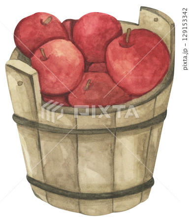 Fresh Apples in Vintage Wooden Bucket. Red Fruits, Wooden Barrel, Autumn Harvest Decor. Organic Farm and Garden. Watercolor Autumn Farmhouse Food Illustration for Thanksgiving. 129153342