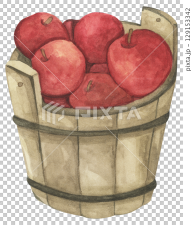Fresh Apples in Vintage Wooden Bucket. Red Fruits, Wooden Barrel, Autumn Harvest Decor. Organic Farm and Garden. Watercolor Autumn Farmhouse Food Illustration for Thanksgiving. 129153342